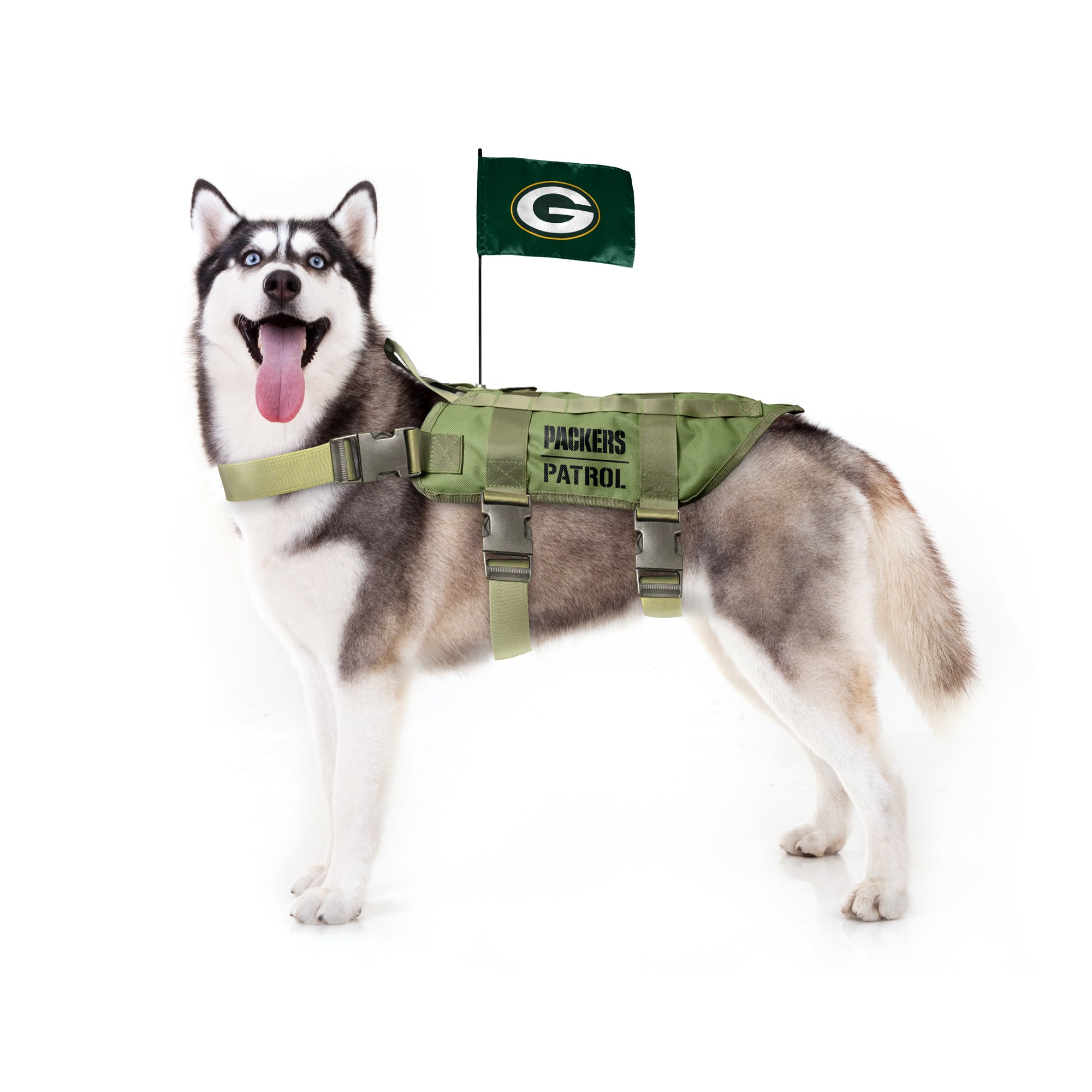 Green Bay Packers Pet Jersey  Green bay packers, Green bay packers dog,  Pet gear